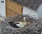 Capi_Dubne_20260520_115002.jpg