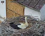 Capi_Dubne_20260520_115504.jpg