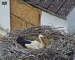 Capi_Dubne_20260520_121004.jpg