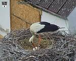 Capi_Dubne_20260520_121504.jpg