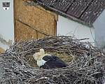 Capi_Dubne_20260520_122002.jpg