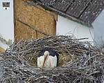 Capi_Dubne_20260520_125004.jpg