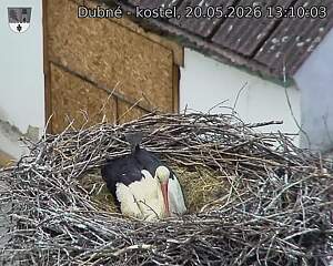 Capi_Dubne_20260520_131003.jpg (1350&nbsp;x&nbsp;1080)