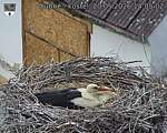 Capi_Dubne_20260520_140502.jpg