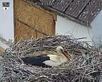 Capi_Dubne_20260520_141003.jpg
