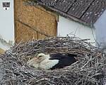 Capi_Dubne_20260520_144003.jpg