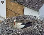 Capi_Dubne_20260520_145502.jpg
