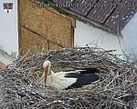 Capi_Dubne_20260520_150003.jpg
