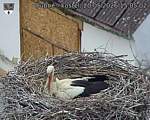 Capi_Dubne_20260520_150502.jpg