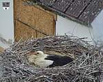 Capi_Dubne_20260520_152003.jpg