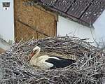 Capi_Dubne_20260520_152503.jpg