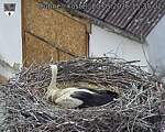 Capi_Dubne_20260520_153502.jpg