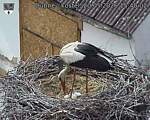 Capi_Dubne_20260520_154002.jpg