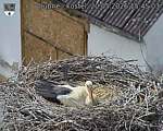 Capi_Dubne_20260520_154503.jpg
