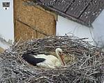 Capi_Dubne_20260520_155503.jpg