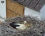 Capi_Dubne_20260520_160004.jpg