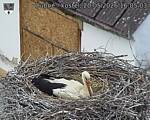 Capi_Dubne_20260520_160503.jpg