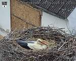 Capi_Dubne_20260520_162003.jpg