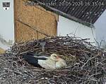 Capi_Dubne_20260520_163504.jpg