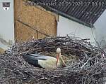Capi_Dubne_20260520_170002.jpg