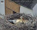 Capi_Dubne_20260520_171502.jpg
