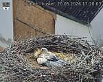 Capi_Dubne_20260520_172003.jpg