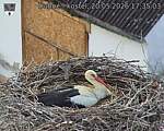 Capi_Dubne_20260520_173504.jpg