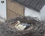 Capi_Dubne_20260520_181502.jpg