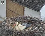 Capi_Dubne_20260520_183503.jpg
