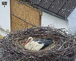 Capi_Dubne_20260520_185503.jpg