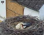 Capi_Dubne_20260520_190004.jpg