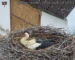 Capi_Dubne_20260520_195003.jpg