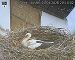 Capi_Dubne_20260520_201002.jpg