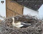 Capi_Dubne_20260520_201502.jpg