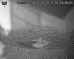 Capi_Dubne_20260520_233003.jpg