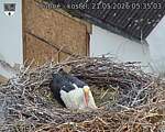 Capi_Dubne_20260521_053503.jpg