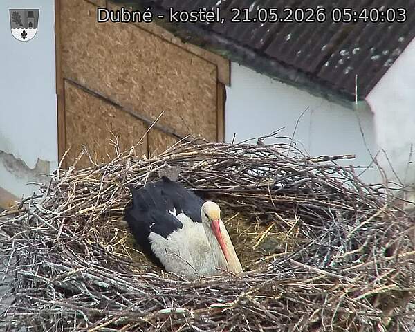 preload