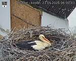 Capi_Dubne_20260521_060003.jpg