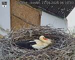 Capi_Dubne_20260521_061003.jpg