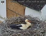Capi_Dubne_20260521_062003.jpg