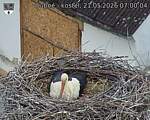 Capi_Dubne_20260521_070004.jpg