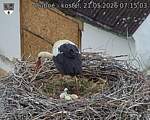 Capi_Dubne_20260521_071503.jpg