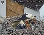 Capi_Dubne_20260521_072004.jpg