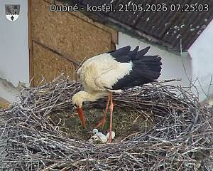 preload