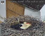 Capi_Dubne_20260521_073003.jpg