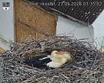 Capi_Dubne_20260521_073502.jpg
