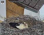 Capi_Dubne_20260521_083503.jpg