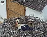 Capi_Dubne_20260521_092004.jpg