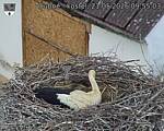 Capi_Dubne_20260521_095503.jpg