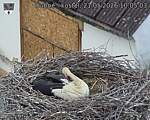 Capi_Dubne_20260521_100503.jpg